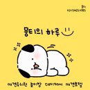 뭉티의 하루 이미지