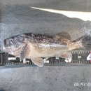 안흥성남호
