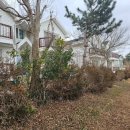 블루오션리조트홀리데이파크 이미지