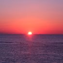 태양을향하여 이미지