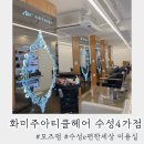 화미주아티클헤어빌리브수성4가점 | 화미주아티클헤어 수성4가점 염색 후기 모즈펌 레이어드컷