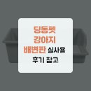 딩동 | 딩동펫 강아지 배변판 실사용 후기 참고