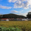 송라낚시터 이미지