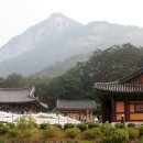 봉암사 - 1772 | 봉암사