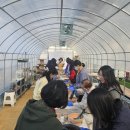 경기팜투어 - 수원시 권선구 경수대로 341 | 경기팜투어