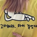 금산간디고등학교 | 금산에서 해남 땅끝까지... 20기의 걷기여행