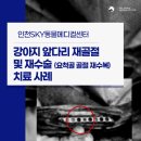 우리아이동물메디컬센터 | [인천sky동물메디컬센터] “우리 아이가 깽깽이 걸음...재골절 및 재수술 (요척골 골절 재수복) 치료 후기