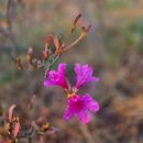 인덕로 | &#39;순창 귀농체험학교&#39; 교육을 받으며 묵었던 쉴랜드 후기