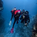 에머랄드빌딩 | 보홀 다이빙샵 빅보스 다이브 한인샵 펀다이빙 추천 후기