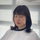 에이린헤어 이미지