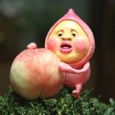 카쿠 이미지