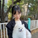 다연축사 이미지