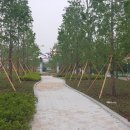 (주)강산조경
