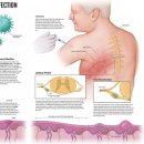 바로편안성모의원 이미지