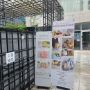 밍떡 | 수원 호매실 떡케이크 기념일 어버이날 돌 환갑 친순 팔순 선물 생일 케이크 추천 밍 떡케이크