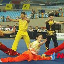 우슈쿵후체육관 이미지