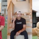 도그어스플래닛 이미지