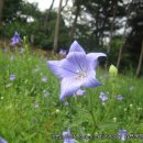 애막골 등산로 입구 이미지