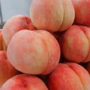 세종농장 이미지