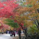 순창종로약국 이미지