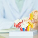 스마트이비인후과의원 이미지