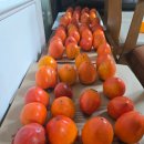 혜영목장 이미지