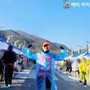 2025 대구마라톤 첫 풀코스 도전! 초보 러너가 완주에 성공한 3가지 전략