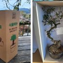 여수잡곡영농조합법인 이미지