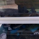 앞산물회 이미지