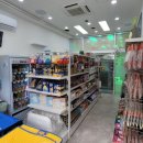도그마캣군포