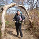 준행정사 | 20220409금정산두릎+주독풀기