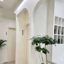 플라스틱성형외과의원 네이버블로그