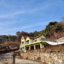 민토리숲 네이버블로그
