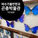자산공원(빠삐용관) | [여행 여수] 여수 지산공원 곤충박물관 feat. 여수 해양수산과학관