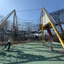 스테이태봉 이미지