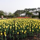 유림원색