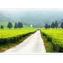 영광자동차병원 이미지