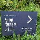 누보갤러리카페