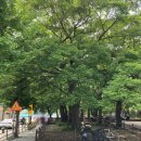 광양읍 광양동초등학교 이미지