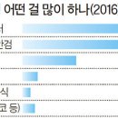 파인아이디
