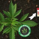 오성메디칼 이미지