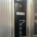 비치힐 | 삼척 비치힐풀빌라 펜션 내돈내산 솔직후기