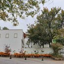 응봉공원2 이미지