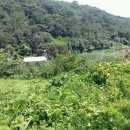 미천면-2 이미지