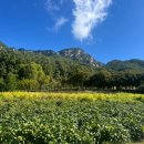 도락산 공중화장실 이미지