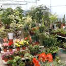 대지농산 이미지