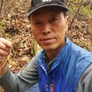 심심산골 이미지