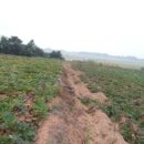 율지8로 이미지