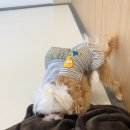 플레이멍 이미지