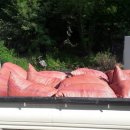 숲속청계농장 이미지